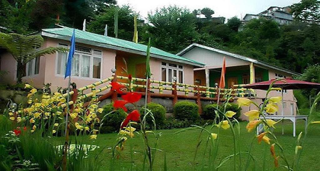 The Nature Stay