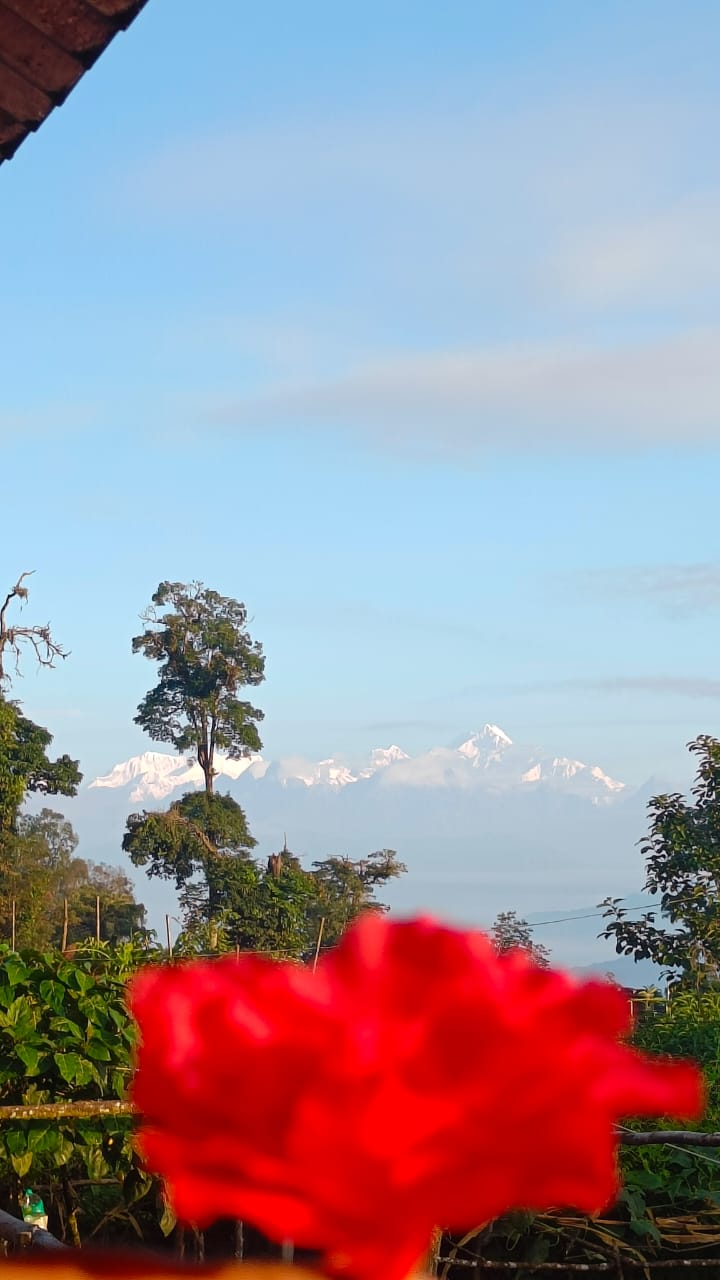 Rushi Homestay