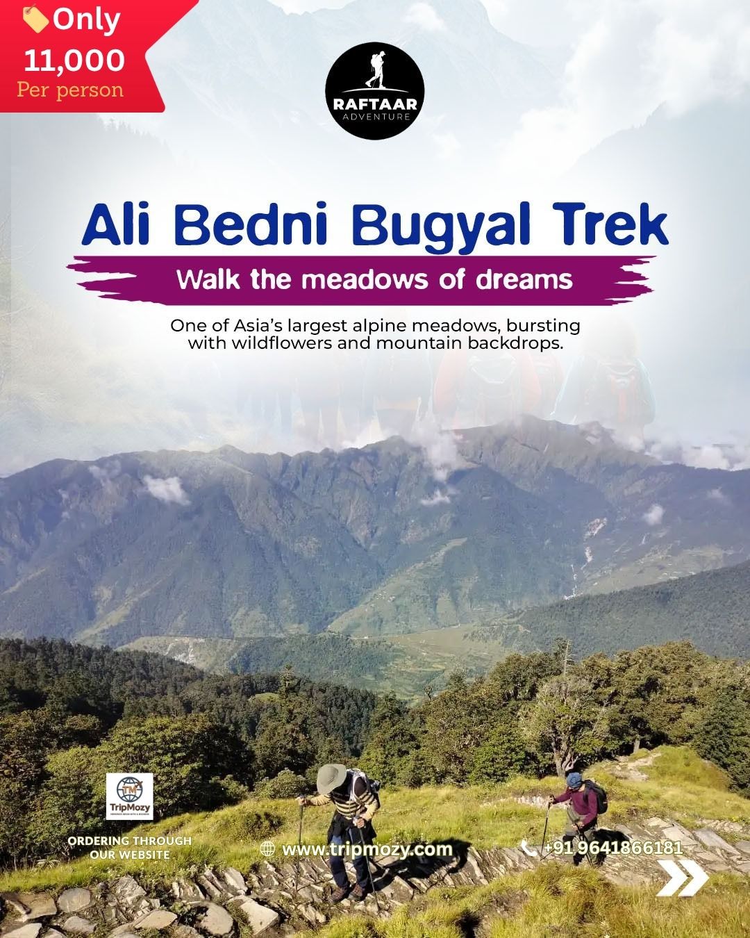 Ali Bedni Bugyal Trek – Explore the Alpine Meadows of Uttarakhand