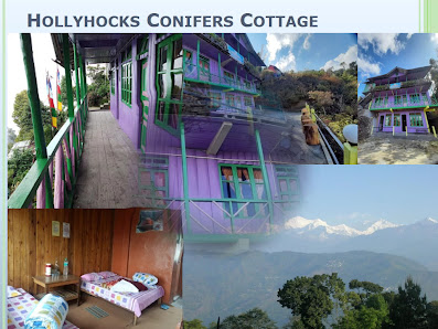 Hollyhocks Cottage Rishop